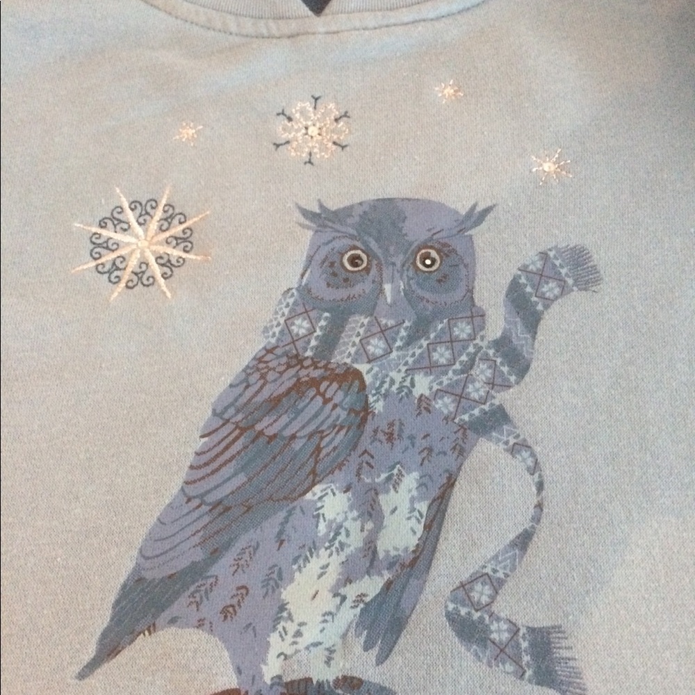 NWOT Size L Blue Northern Reflections Owl Sweatshirt